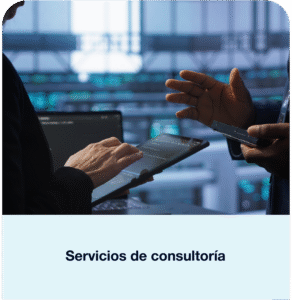 Services-con textoES-01
